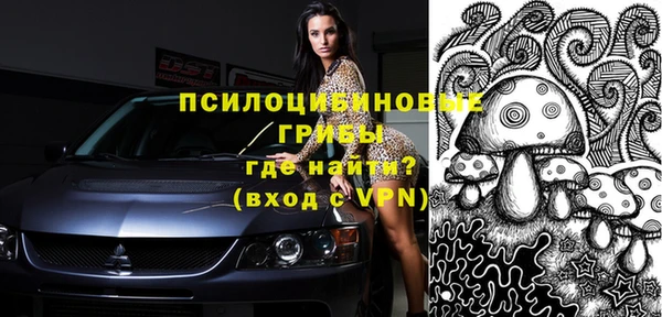 PSILOCYBIN Зеленокумск