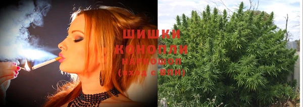 мяу мяу мука Зерноград