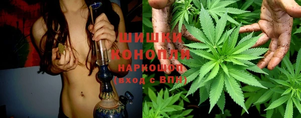 PSILOCYBIN Зеленокумск