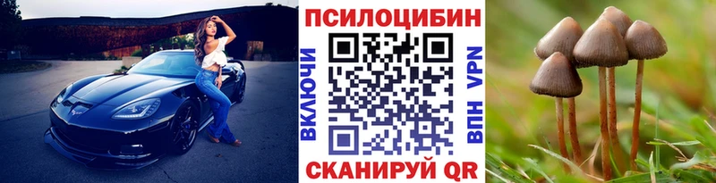 Купить где  Темрюк  Галлюциногенные грибы Magic Shrooms 